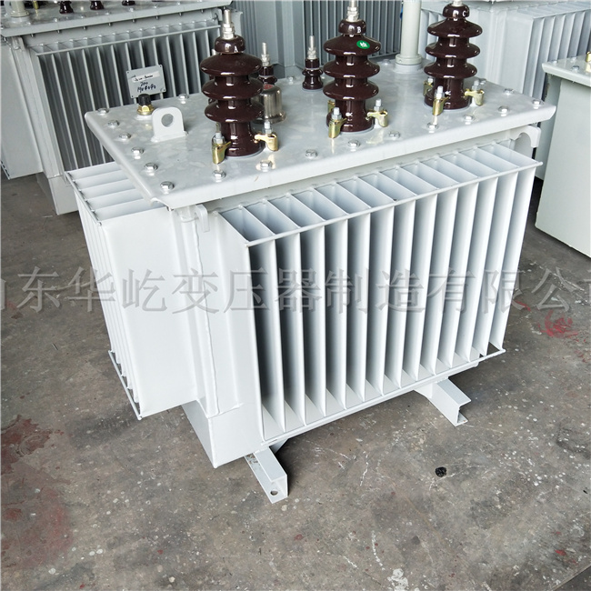 白银S20-1000KVA油浸式电力变压器
